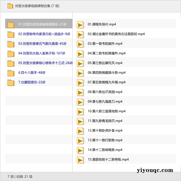 刘莹太极拳视频课程合集-益友小站