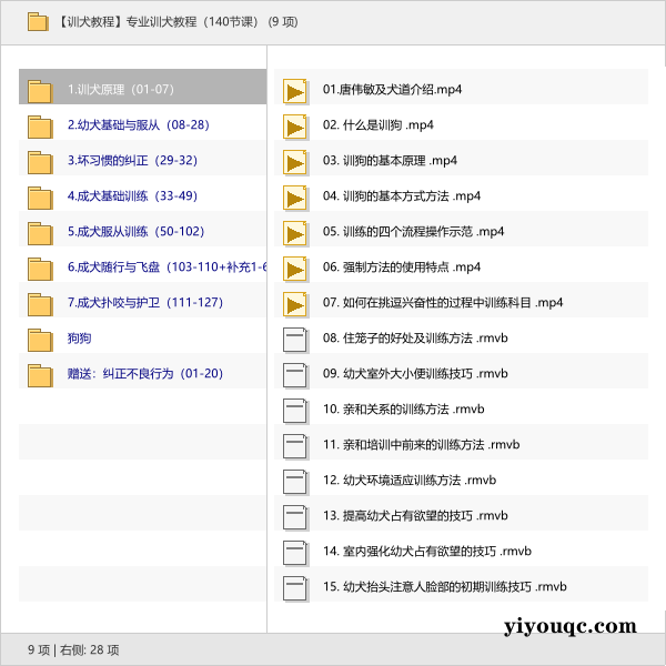 专业训犬教程(140节课)-益友小站