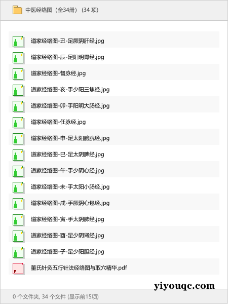 中医经络图（全34册）-益友小站