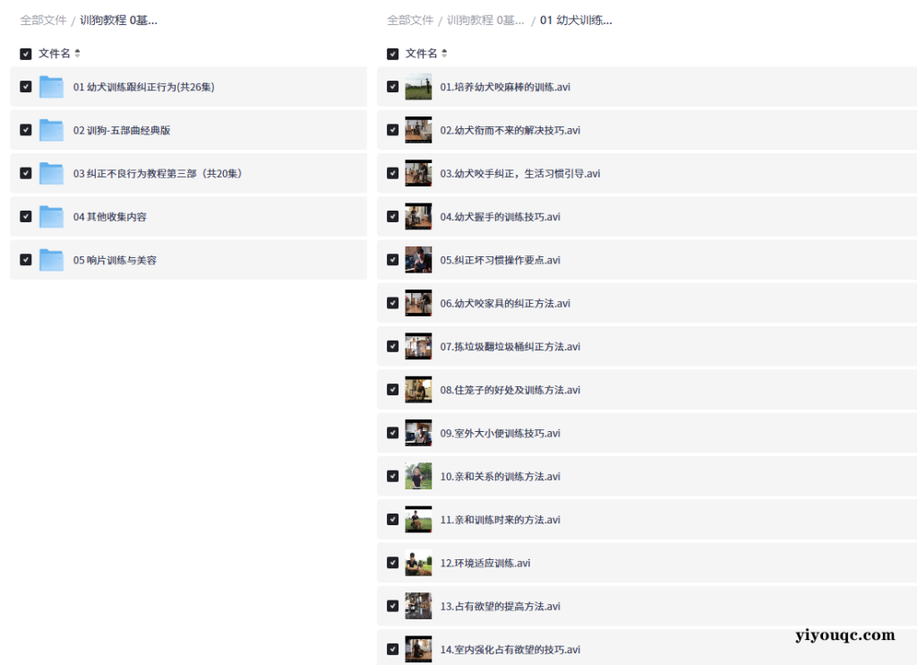 训狗教程 0基础简单易学-益友小站