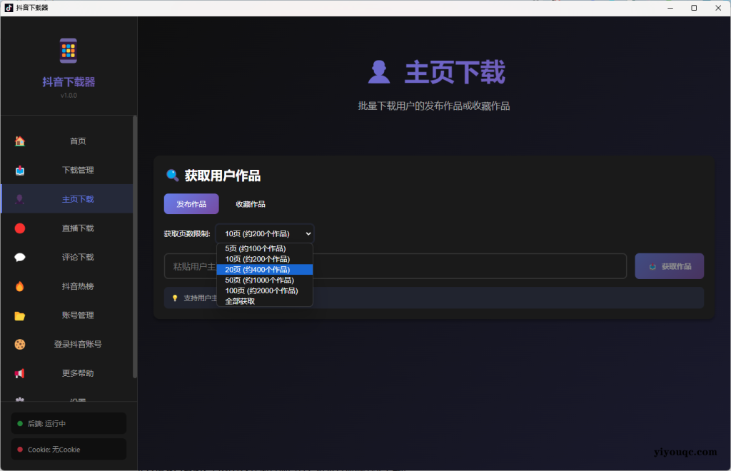 图片[2]-抖音/TikTok下载神器：一站式解决视频、图集、音乐下载需求（需登陆自己抖音账号）-益友小站