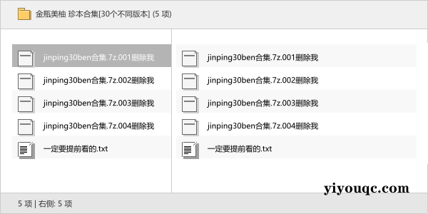 金瓶美柚 珍本合集[30个不同版本]-益友小站
