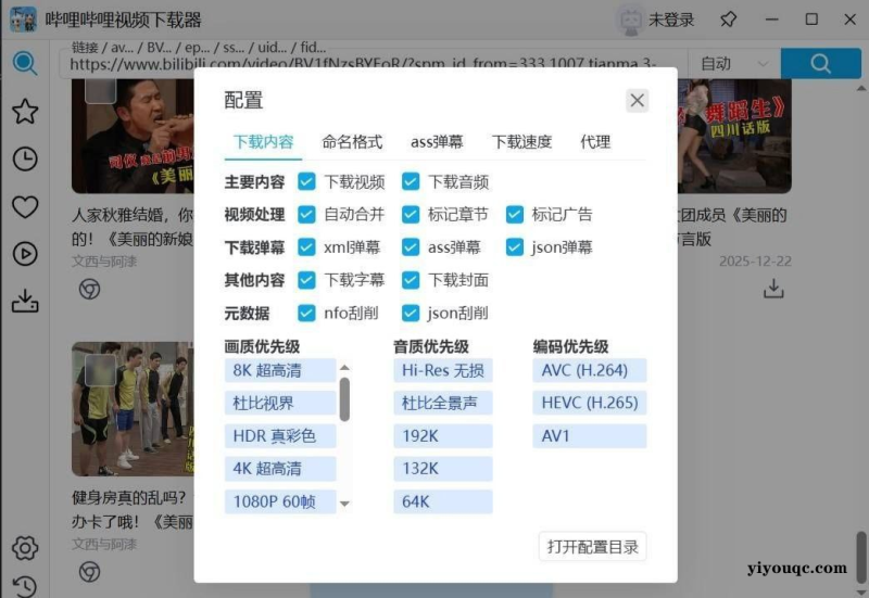 哔哩哔哩下载器0.1.1支持弹幕字幕无损缓存可批量下载-益友小站