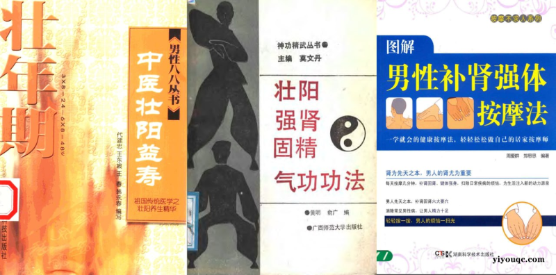 男性健康养生壮阳补肾电子书合集-益友小站