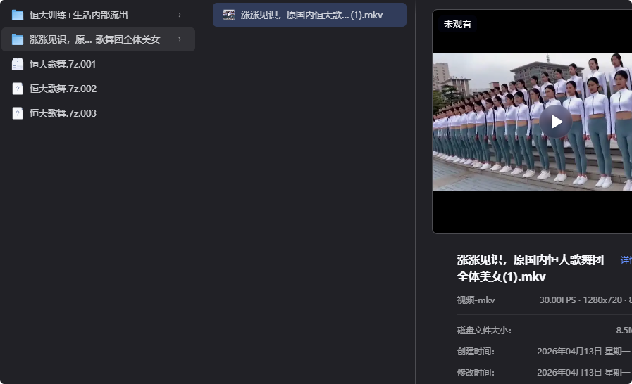 恒大歌舞团精选资源，舞动艺术之美-益友小站